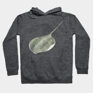 Southern Stingray Hoodie